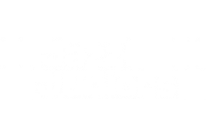 Logo Jazz Juniors